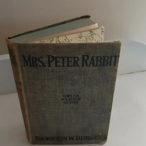 1919 Mrs Peter Rabit Green Meadow Series by Thorton Burgess